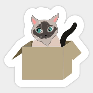 Cat in the box Sticker